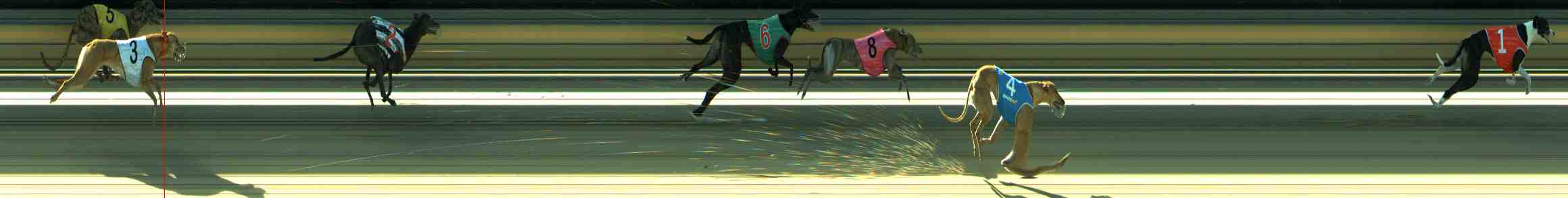 Photo finish for Sale Race 11