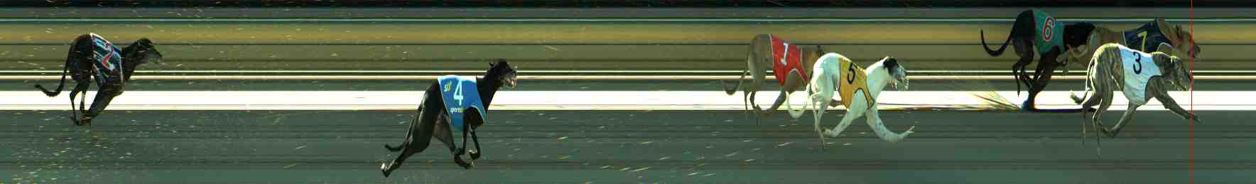 Photo finish for Sale Race 12