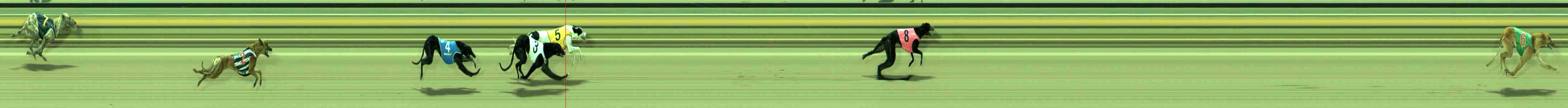 Photo finish for Sale Race 1