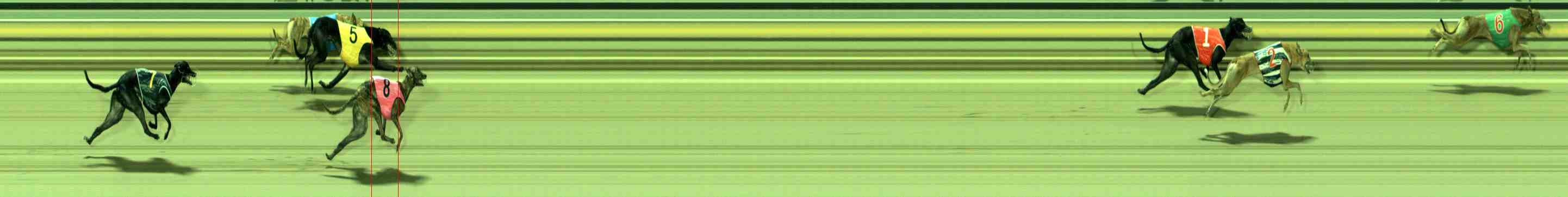 Photo finish for Sale Race 2