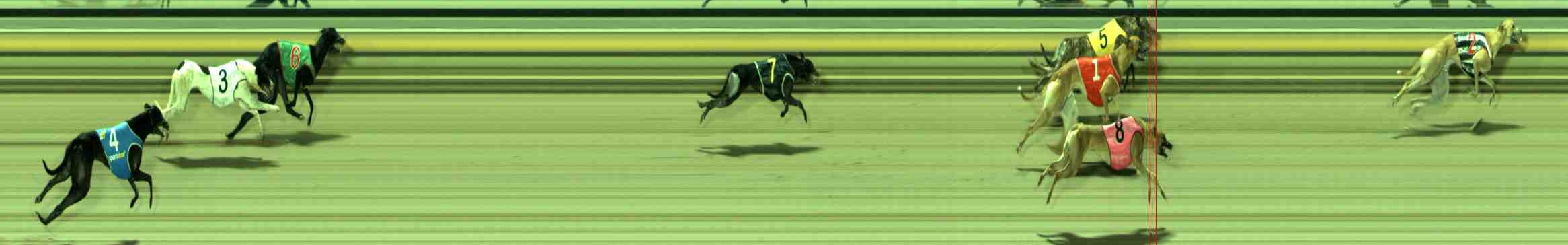 Photo finish for Sale Race 4