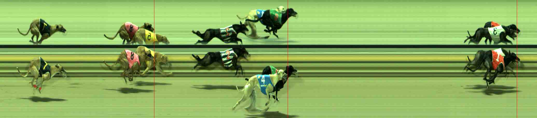 Photo finish for Sale Race 5