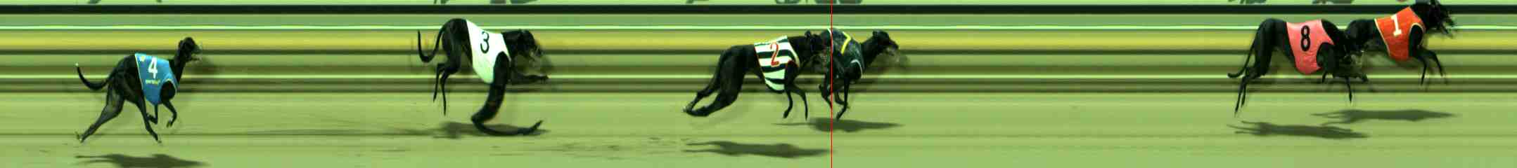 Photo finish for Sale Race 6