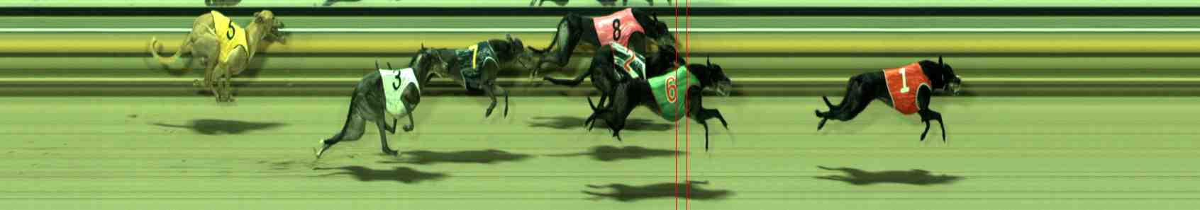 Photo finish for Sale Race 8