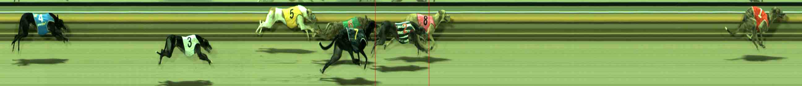 Photo finish for Sale Race 9