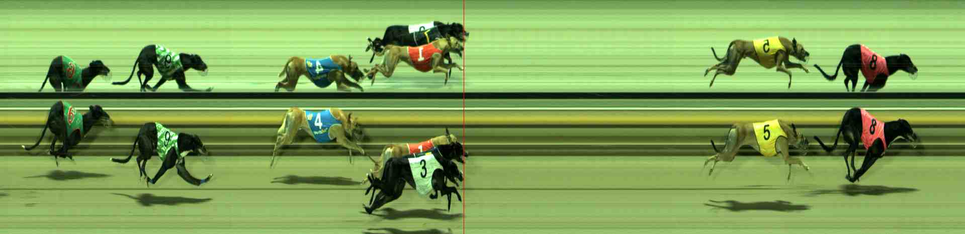 Photo finish for Sale Race 10