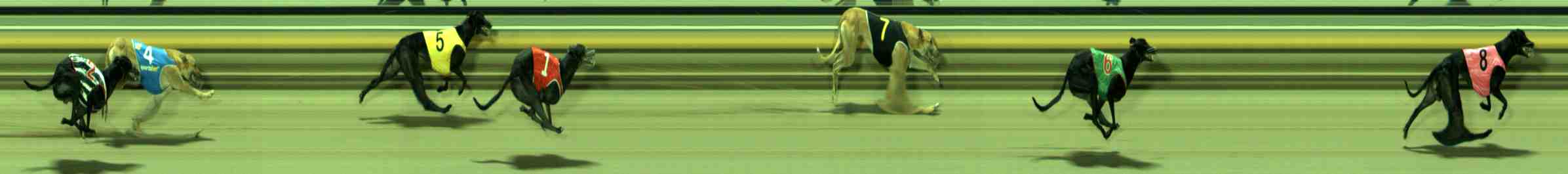 Photo finish for Sale Race 11