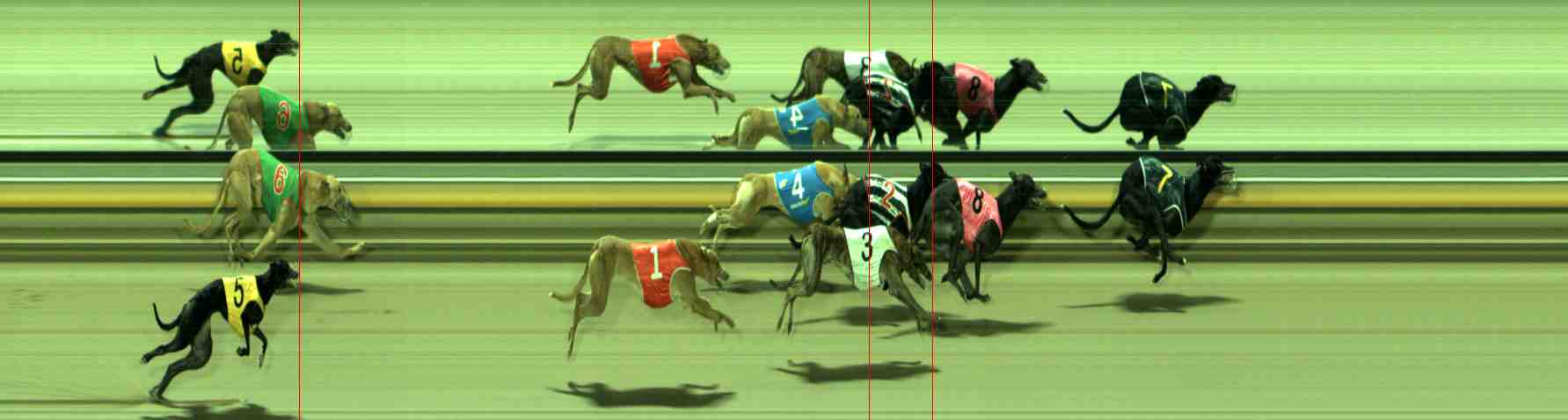 Photo finish for Sale Race 12