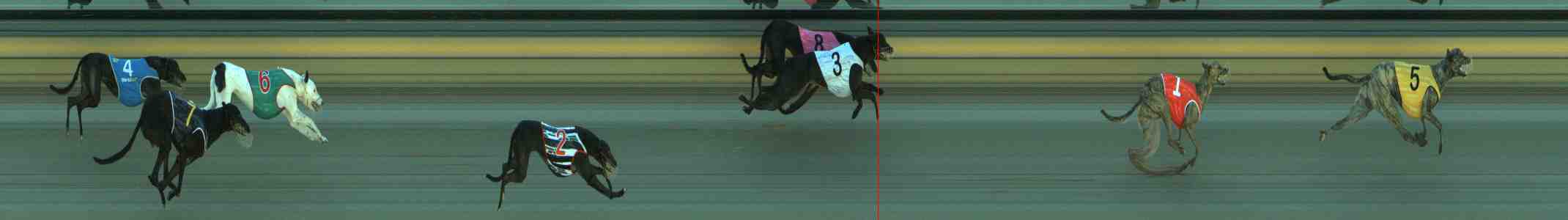 Race result finish photo