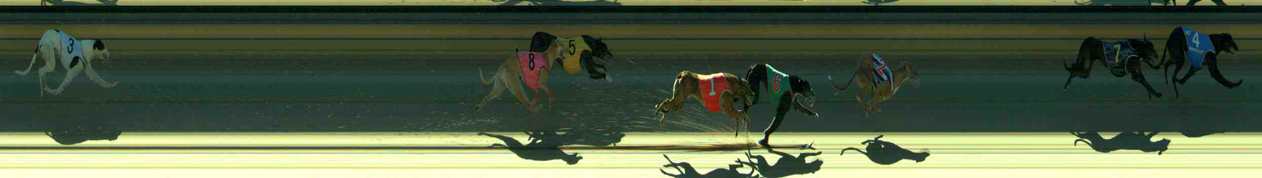 Race result finish photo