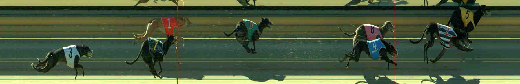 Race result finish photo