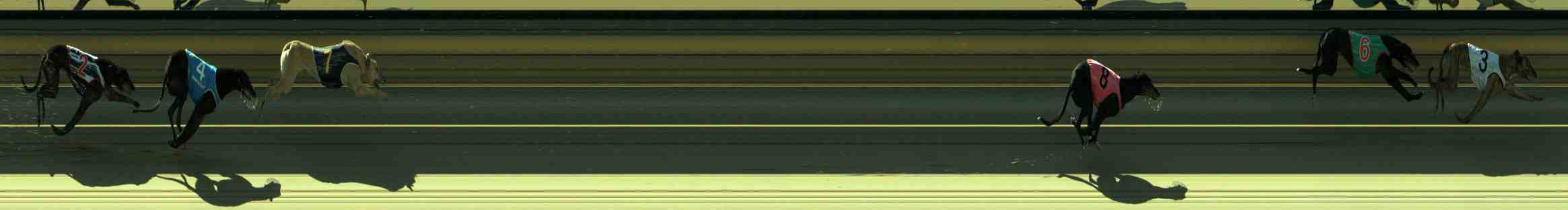 Race result finish photo