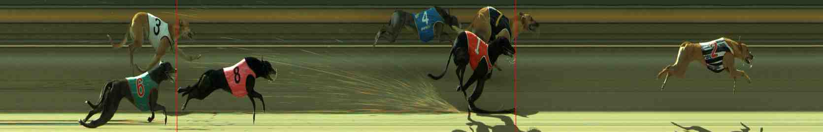 Race result finish photo