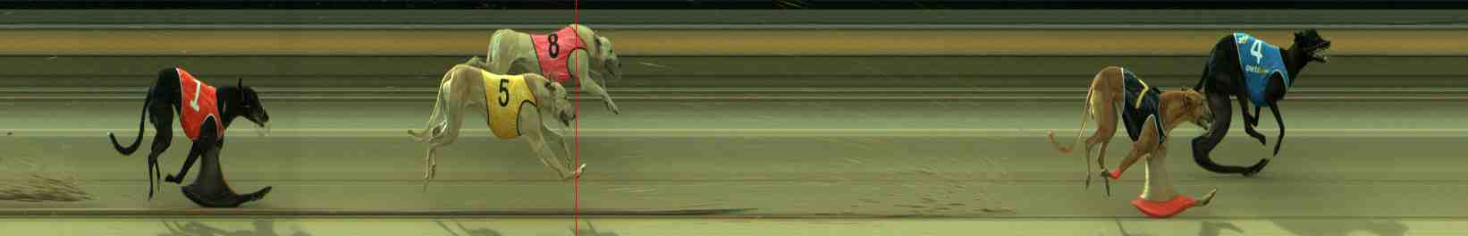 Race result finish photo