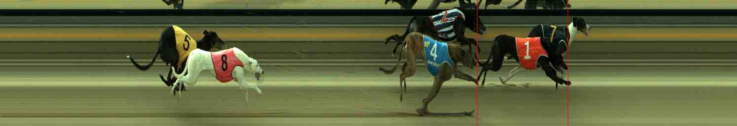Race result finish photo