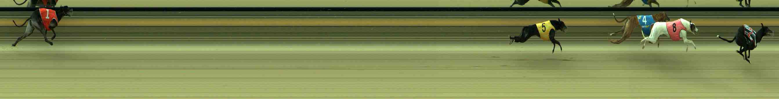 Race result finish photo