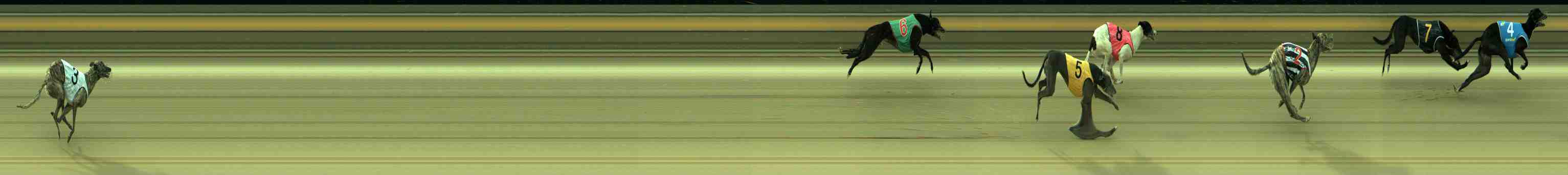 Race result finish photo