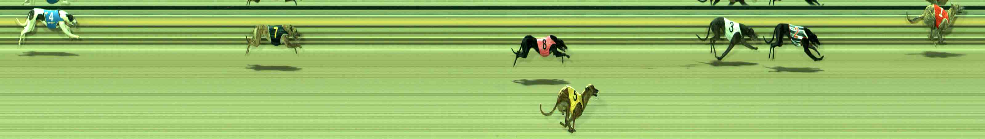 Race result finish photo