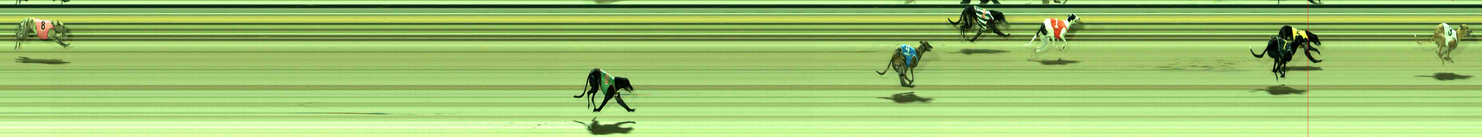 Photo finish for Sale Race 2