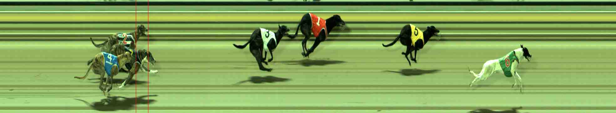 Photo finish for Sale Race 3
