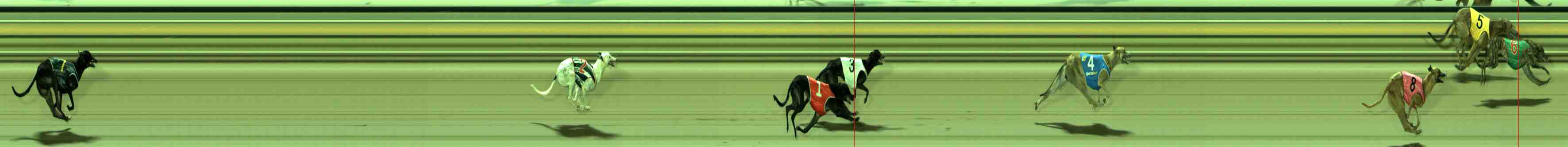 Photo finish for Sale Race 4
