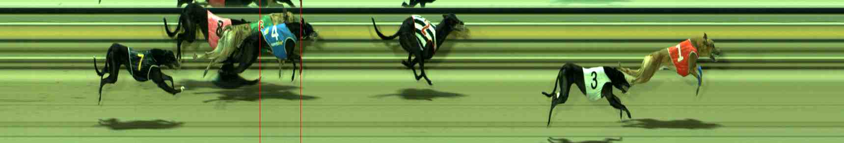 Race result finish photo