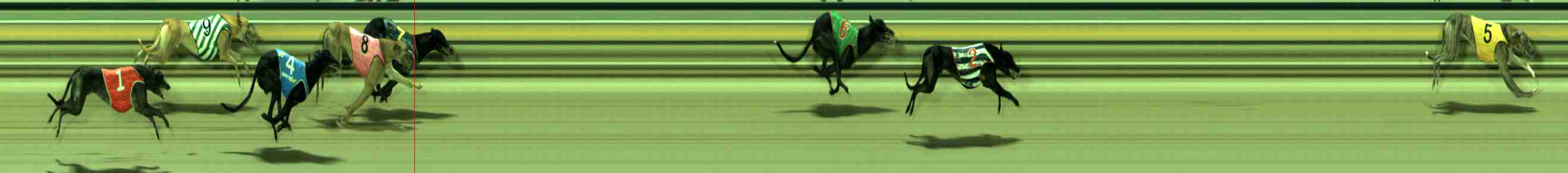 Race result finish photo