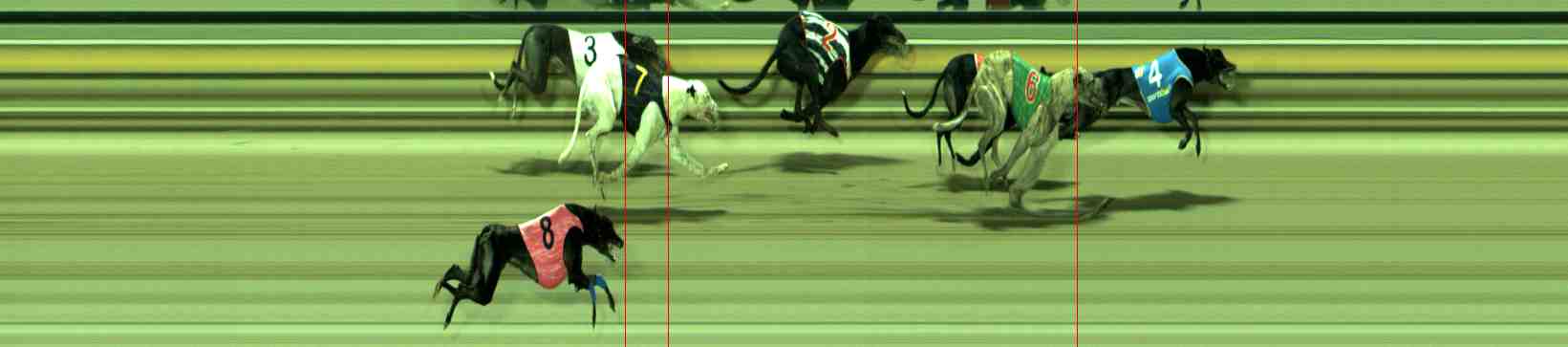 Photo finish for Sale Race 7