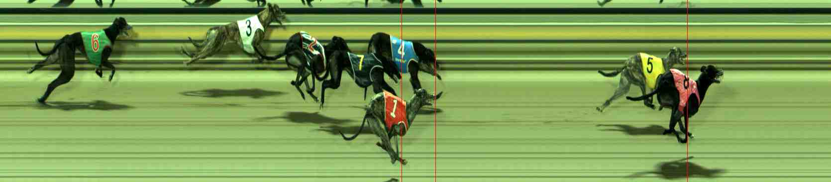 Photo finish for Sale Race 8