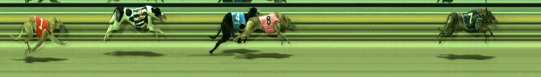 Photo finish for Sale Race 9