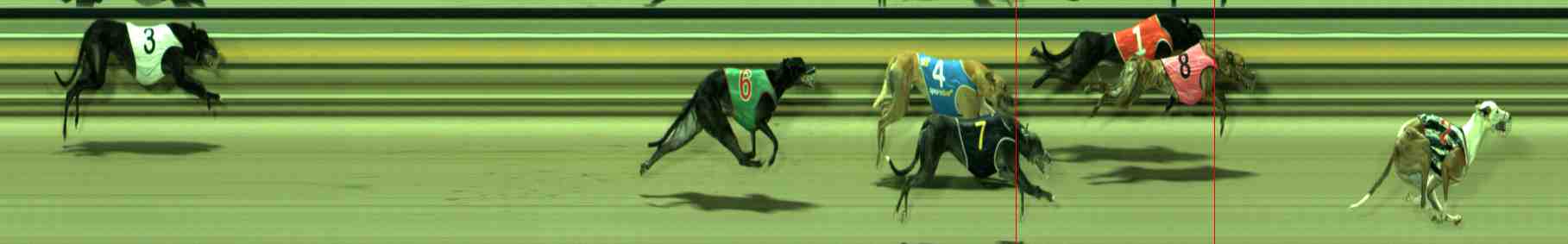 Race result finish photo