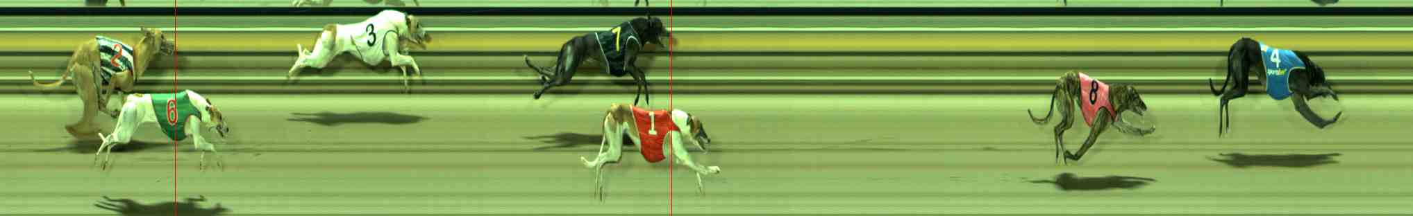 Photo finish for Sale Race 11