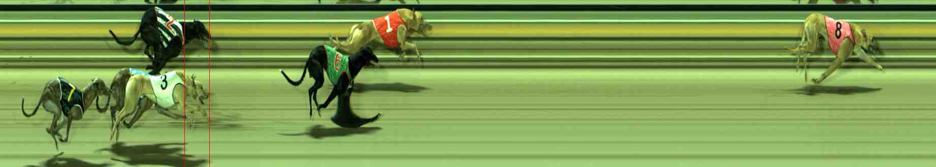 Photo finish for Sale Race 12