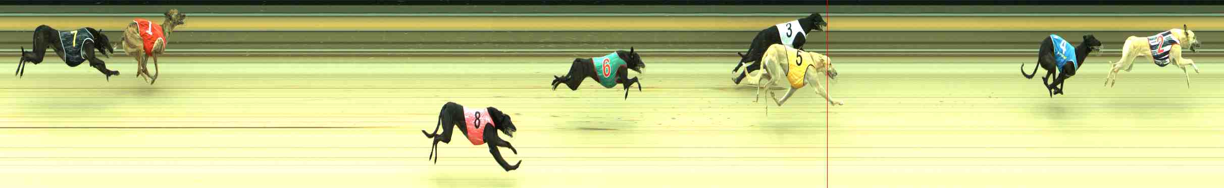 Race result finish photo