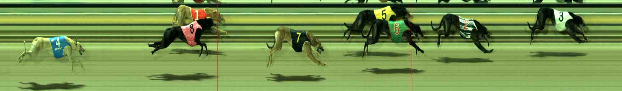 Race result finish photo