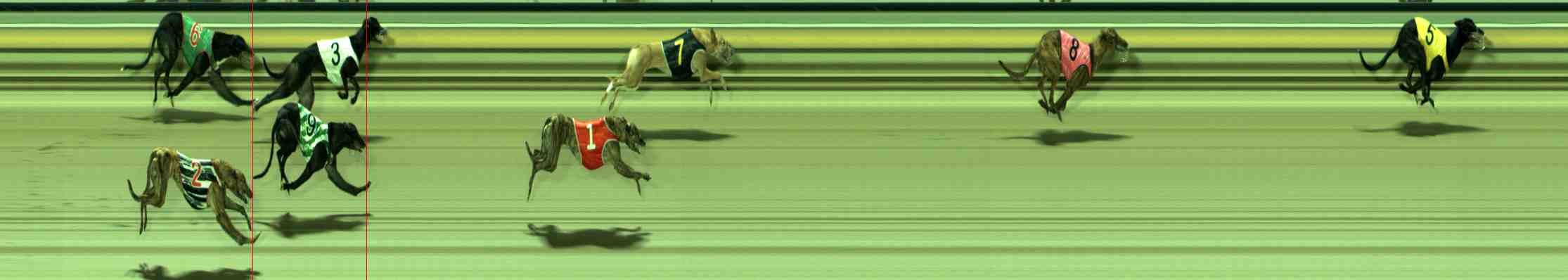 Race result finish photo