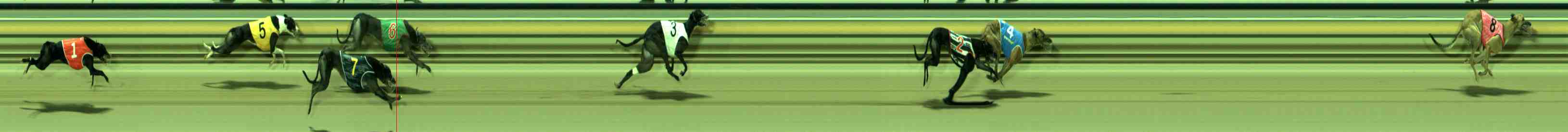 Race result finish photo