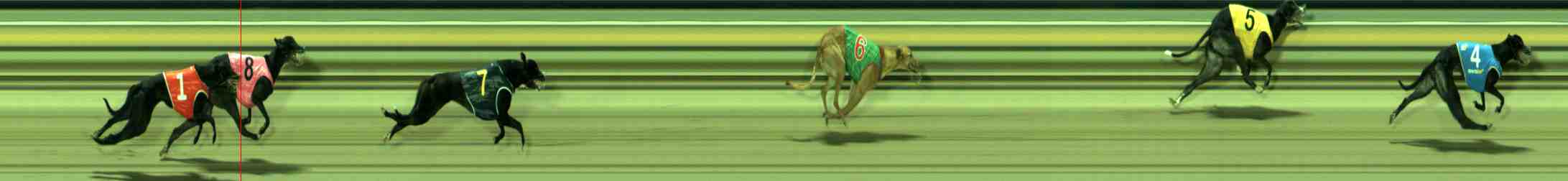 Race result finish photo