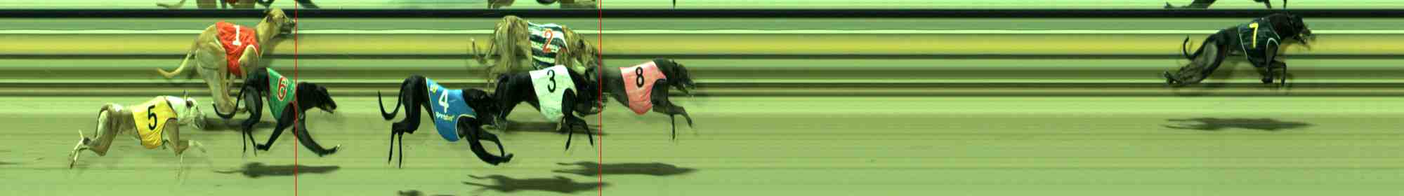 Race result finish photo