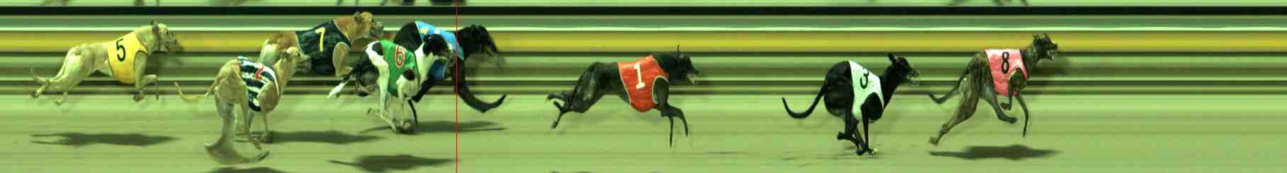 Race result finish photo