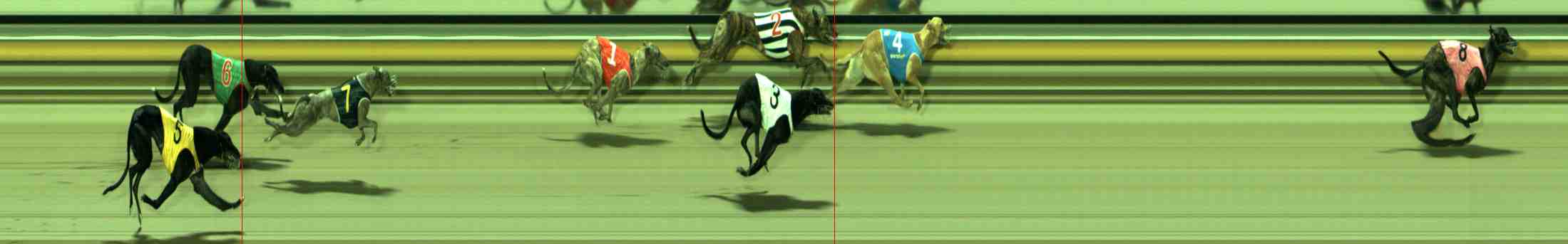 Race result finish photo