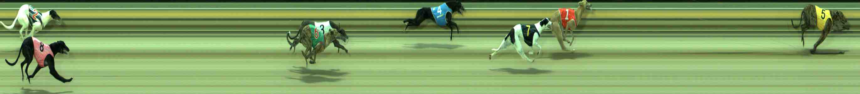 Photo finish for Sale Race 4