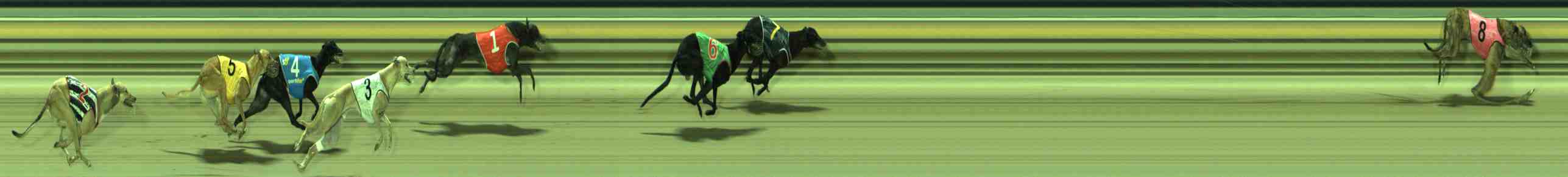 Photo finish for Sale Race 7