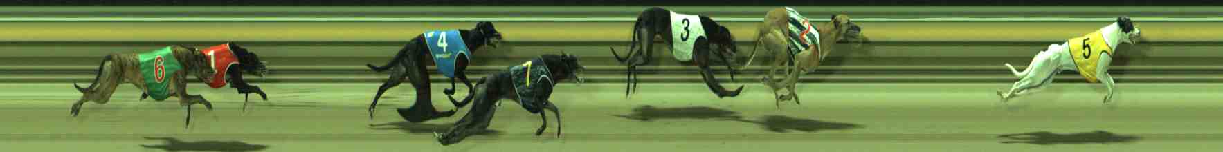 Photo finish for Sale Race 8