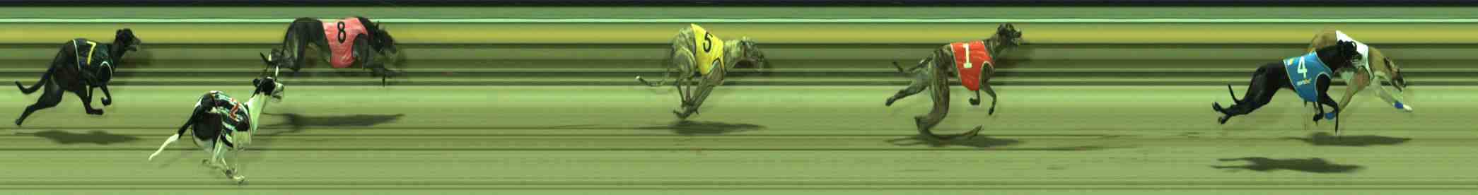 Photo finish for Sale Race 9
