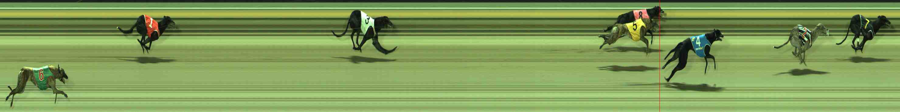 Photo finish for Sale Race 10