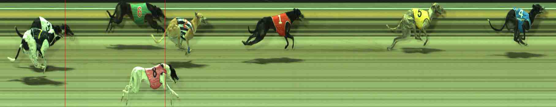 Photo finish for Sale Race 11