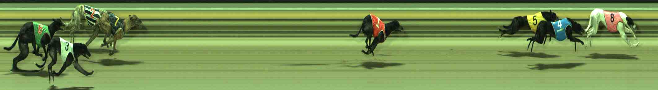 Photo finish for Sale Race 12
