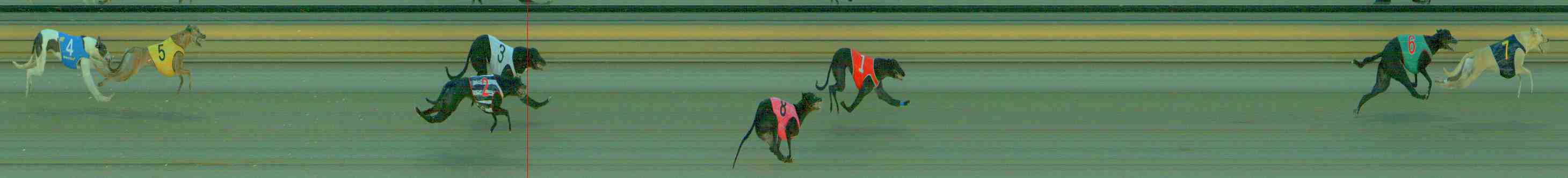Photo finish for Sale Race 1
