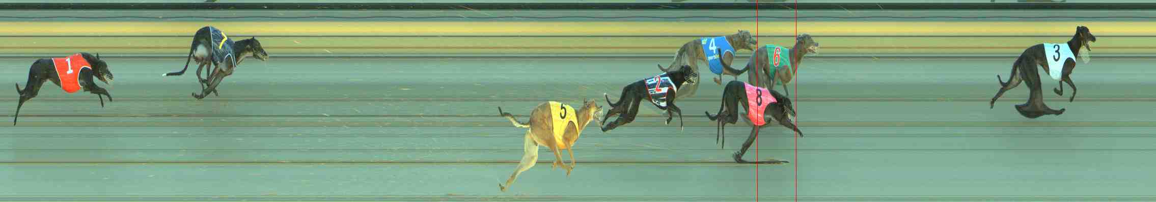 Photo finish for Sale Race 2